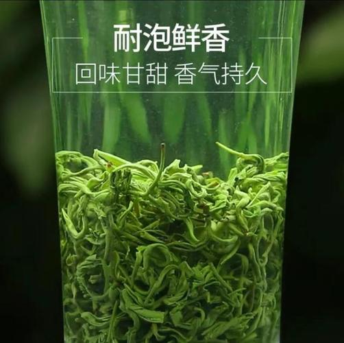 认识绿茶:千岛玉叶