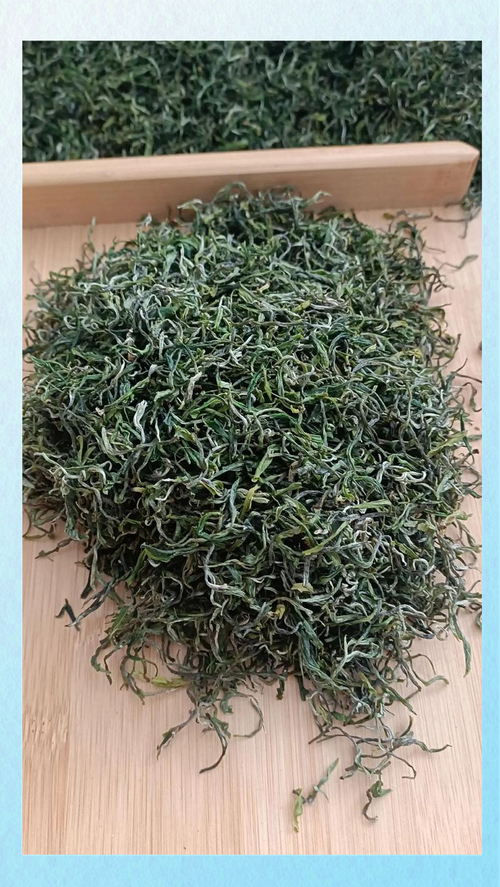 打工人的口粮茶推荐:4款精选茶品分享